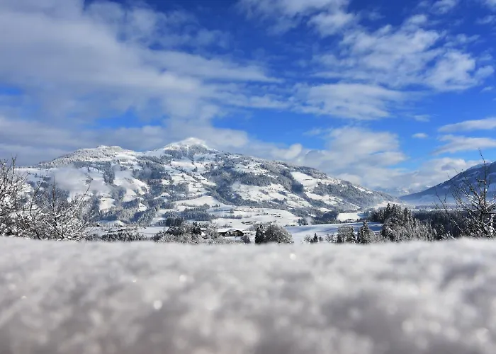 Leamwirt ホテル ホップフガルテン・イム・ブリクセンタール